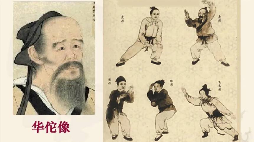 "Wu Qin Xi" của Hoa Đà lan rộng khắp thế giới
