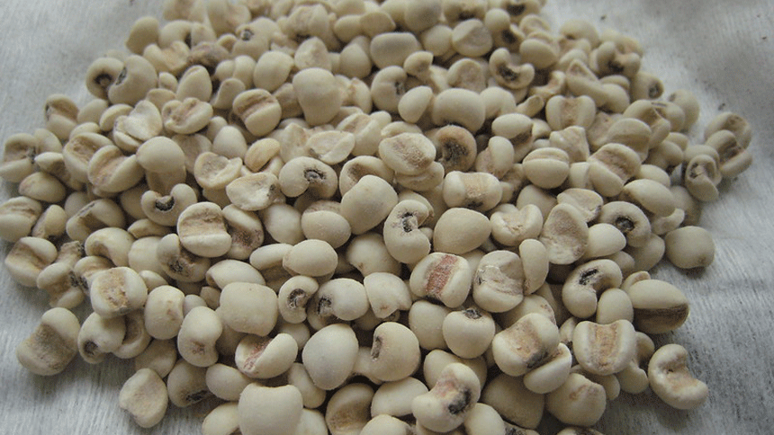 薏苡仁（jennyhsu47/Flickr）