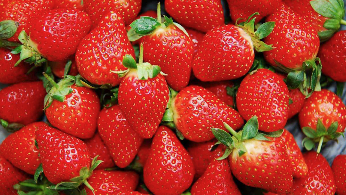 法國最好吃的草莓品種有哪些？告訴您法國人挑選草莓的小技巧| 法國| 草莓| 品種| 季節| 水果| 好吃| 挑選| 希望之聲