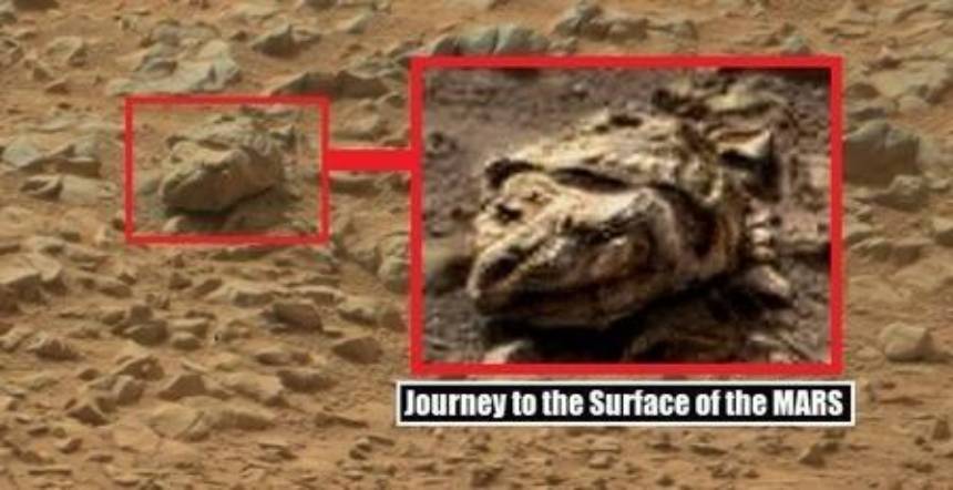 Strange crocodile-like object spotted in Curiosity photos