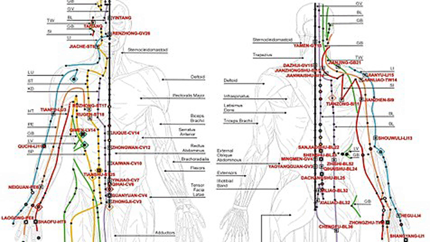 国际权威期刊：证实中医经络的存在| 国际权威医学期刊| 经络| 中国医学