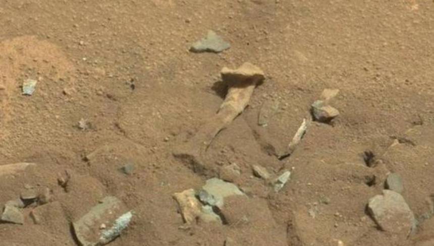 Martian ancient fossils