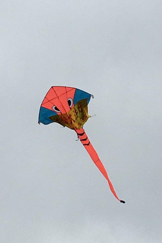 英國法輪功學員的風箏帶着金黃色橫幅也高高的飛在空中，不少人看到後用手機拍照，並向學員索要練功傳單，其中不乏黑眼睛、黑頭髮、黃皮膚的華人。（圖片來源：Sunny/英國）