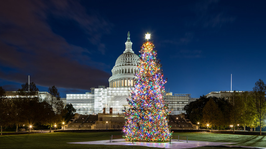 24米高圣诞树！美国国会大厦举行圣诞树点灯仪式| 圣诞节| 华盛顿| 国会大厦| 圣诞树| 点灯仪式| 希望之声