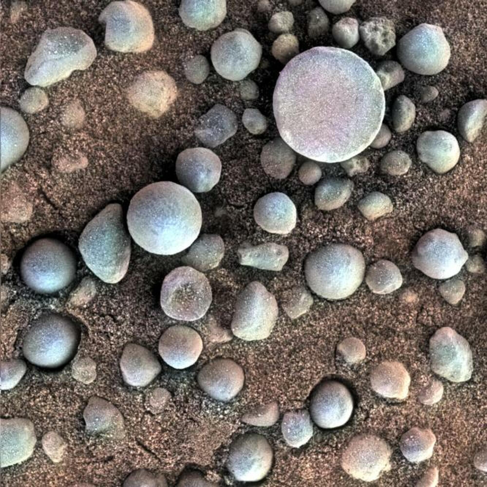 Blueberries on Mars.  (Image: NASA)