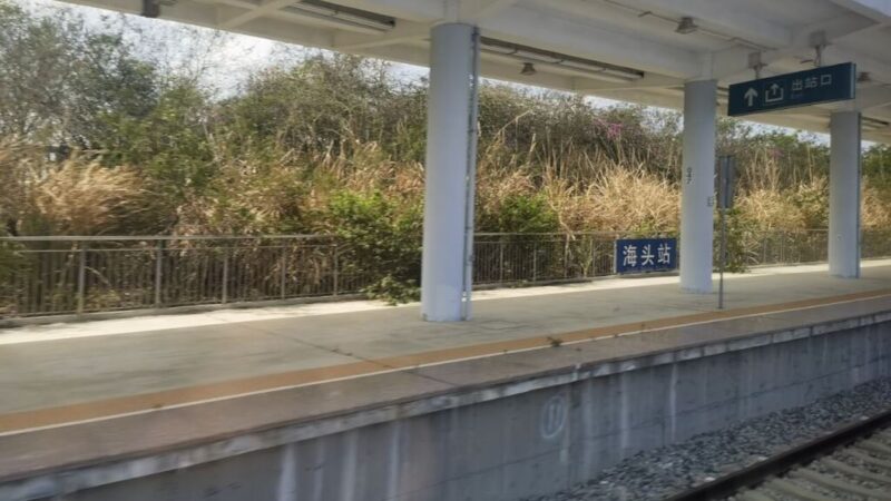 海南省儋州市海頭高鐵站建成已數年，至今未投入使用，周邊野草瘋長。（圖源：維基共享資源，作者Lhzss8，CC BY-SA 4.0）