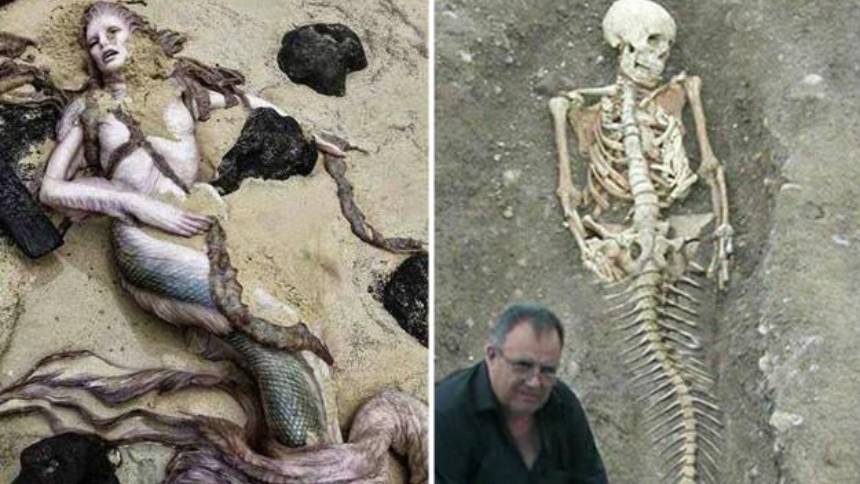 1.2萬年前美人魚化石  世界奇闻