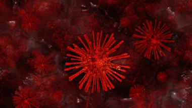 中共病毒（圖片：pixabay）