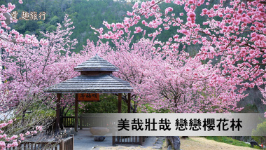 视频 令人惊叹的樱花盛景21日本各地樱花航拍 樱花 奈良 梅花鹿与樱花 千年京都 京都 日本樱花 樱花航拍 希望之声 视频 令人惊叹的樱花盛景21日本各地樱花航拍 樱花 奈良 梅花鹿与樱花 千年京都 京都 日本樱花 樱花航拍 希望之声